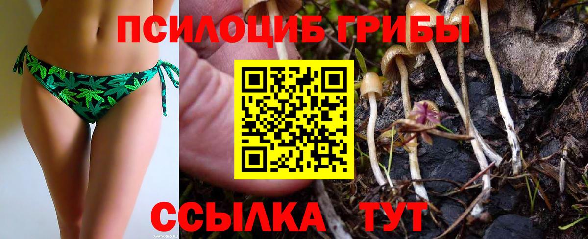 Галлюциногенные грибы Cubensis  Вход с VPN  Удомля  Псилоцибиновые грибы Magic Shrooms 